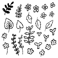Hand Drawn Black Ink Flower Leafs