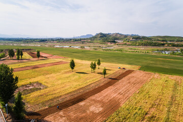Aerial View of Cultivated Fields and Farmland