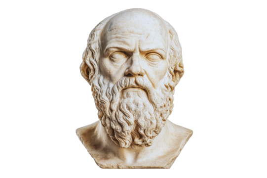 Ancient Greek Philosopher Bust Detailed Marble Sculpture of a Bearded Man's Head and Shoulders