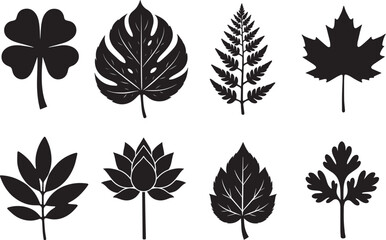 set of leaves