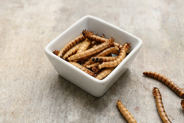 Bowl with fried maggots on grey background