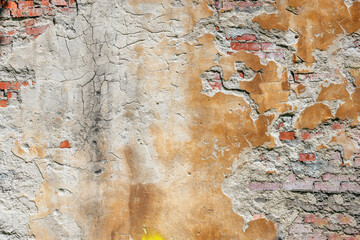 A fragment of a brick wall with peeling plaster on a spring day
