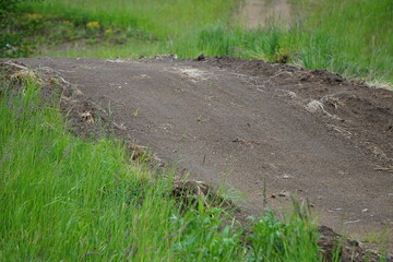 Szeroka, błotnista trasa dla rowerów MTB, trawa po boku.