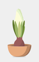 Vector illustration of first spring flowers in a pot isolated on a gray background. Hyacinth in a brown ceramic pot used for magazine, poster, web pages. Template for gift and bouquet composition