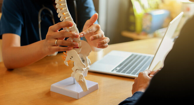 close up physical therapist hand pointing on human skeleton at back to advise and consult to patient to treatment in medical clinic office for healthcare concept