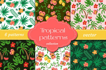 Colorful tropical seamless patterns with palm trees, butterflies, flowers and exotic leaves. Perfect for summer, vacation, packaging, fabric and beach-themed projects.