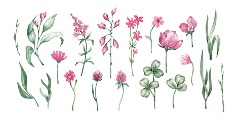 Wild flowers collection. Summer meadow set hand drawn with watercolor. Colorful summer design elements for card, banner, invitation