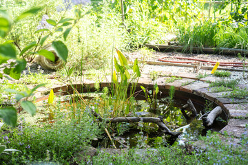 Herb Garden with Brick Path and Mini Pond / Natural garden design with herb beds featuring brick pathway, gravel borders and small metal water basin / Natural Garden Design