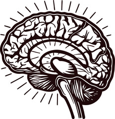 Detailed vintage of human brain anatomy with radiating lines