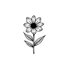 Elegant botanical line art: A delicate black and white daisy illustration