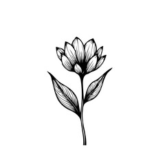 Elegant monochrome floral sketch evoking simplicity and natural beauty