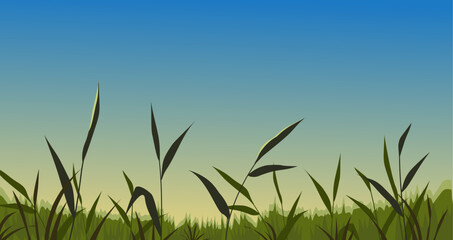 Fototapeta premium Rice field landscape 