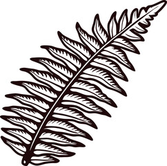 Fototapeta premium Intricate black and white of a fern leaf highlighting nature's elegance