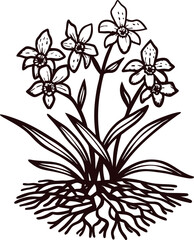 Detailed black and white of flower plant with roots displayed