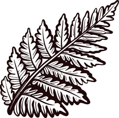 Detailed black and white fern leaf with intricate patterns and texture