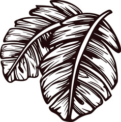 Obraz premium Detailed black and white of two tropical banana leaves
