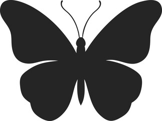butterfly  silhouette 