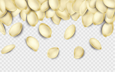 Pumpkin seeds in a realistic style on a transparent background. Organic food texture, perfect for packaging, advertising and web design. Topics: healthy eating, gardening