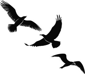 Flying bird silhouette vector black and white
