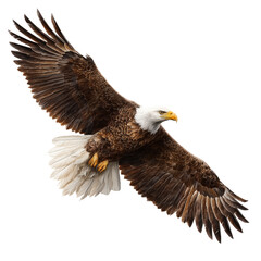 Fototapeta premium Majestic Eagle in Flight: A Powerful Symbol of Freedom and Nature , isolated on white background png