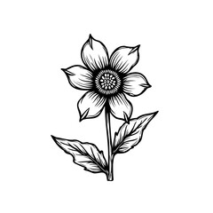 Elegant Floral Illustration: A Detailed Botanical Drawing with Intricate Lines