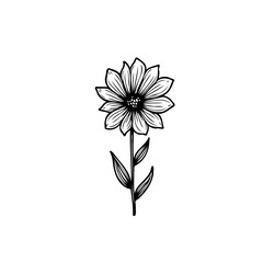 Intricate Floral Line Art: A Delicate Daisy Illustration with Stylized Petals