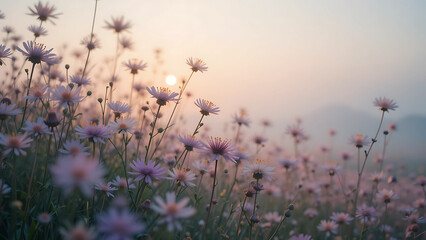 Macro image of delicate wildflowers, morning haze filtered on plain white backdrop, botanical documentation