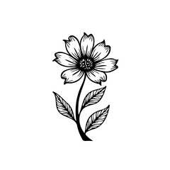 Elegant botanical line art: A delicate floral illustration in monochrome