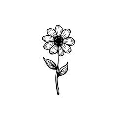 Naklejka premium Elegant botanical illustration showcasing a delicate flower with intricate detail