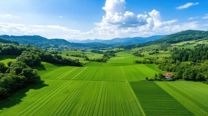 Fototapeta premium Lush green fields and distant hills aerial landscape agriculture farming