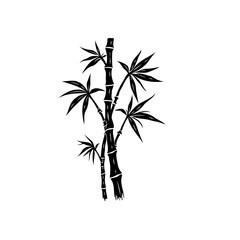 Elegant bamboo stalk silhouette against a stark white backdrop for serene decor