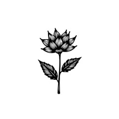 Monochromatic floral illustration featuring a blossoming bloom and detailed linework