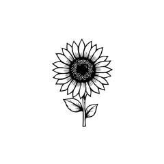 Fototapeta premium Elegant Sunflower Silhouette: A Minimalist Botanical Illustration with Intricate Details