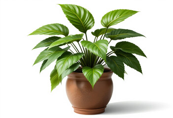 Fototapeta premium Stunning Potted Plant
