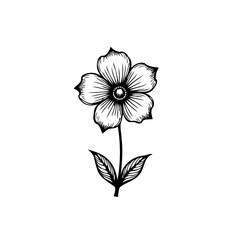Elegant monochrome floral botanical illustration with organic simplicity style