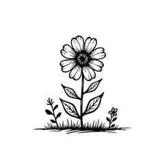 Elegant monochrome floral illustration featuring a detailed daisy design