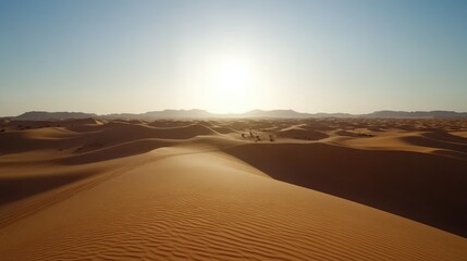 Scenic sand dunes landscape under bright sun