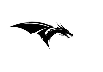 Fototapeta premium Shadow Winged Fury