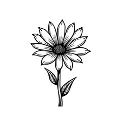 Elegant daisy blossom line art illustration for creative design projects