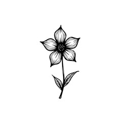 Elegant floral botanical illustration with delicate petals in minimalist style