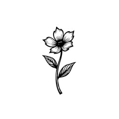 Elegant monochrome floral illustration with delicate shading and graceful stem