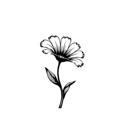 Elegant monochromatic floral illustration with delicate petal and leaf details