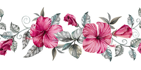 Hibiscus dark pink flowers, buds, gray silver leaves, branches and liana hand drawn watercolor illustration isolated on white. Bright seamless border for exotic, gloomy designs, web banner, frame