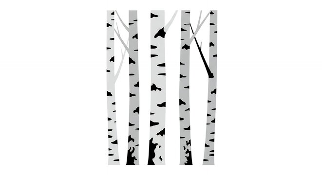 Birch tree trunks pattern illustration
