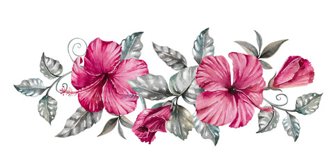 Hibiscus dark pink flowers, buds, gray silver leaves, branches and liana hand drawn watercolor illustration isolated on white. Bright colorful clipart for exotic, gloomy designs, cards, invitations