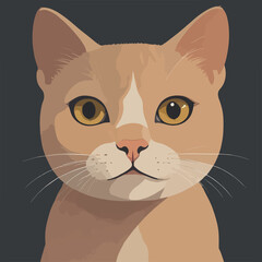 vector illustration of a cat