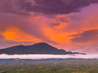 beautiful morning view panorama of indonesia agriculture industry rice fields with beautiful sky colors natural light