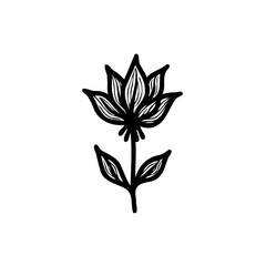 Delicate botanical art featuring a stylized flower with refined linework