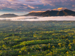 beautiful morning view panorama of indonesia agriculture industry rice fields with beautiful sky colors natural light
