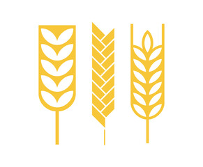 Cereal ear or spike outline icons. Wheat, rye, barley and millet vector natural grains. Yellow plant stalk for bread baking, isolated bakery, harvest and agriculture industry symbols. farm grains